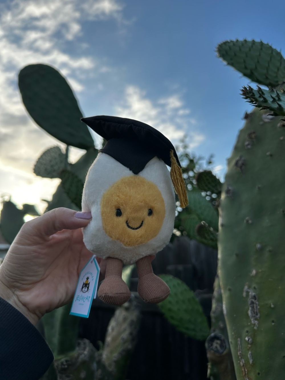 Amusueable boiled egg graduation Jelly Cat